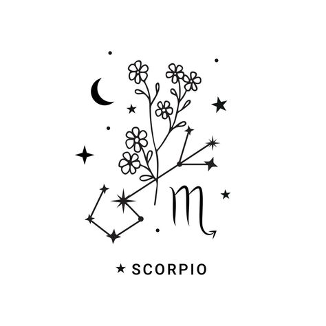 Scorpio zodiac sign with moon and stars Zodiac Tattoos Scorpio, Scorpio Moon Tattoo, Horoscope Signs Scorpio, Scorpio Aesthetic, Constellation Scorpio, Scorpio Star Sign, Scorpio Star, Scorpio Leo, Scorpio Zodiac Sign