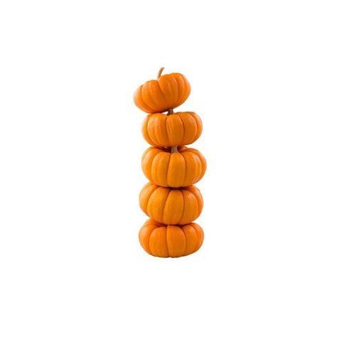 pumpkin Orange Aesthetic Icon, Angel Aesthetic, Orange Aesthetic, Aesthetic Icon, Orange