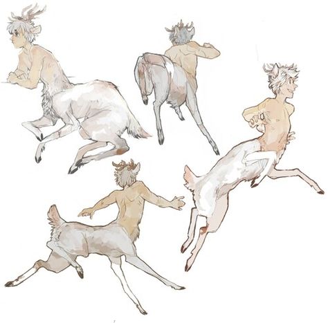 Centaur Deer, Deer Centaur, Sheridan Animation, Male Deer, Magic Creatures, Male Reference, Fantasy Magic, Wow Art, Mythological Creatures