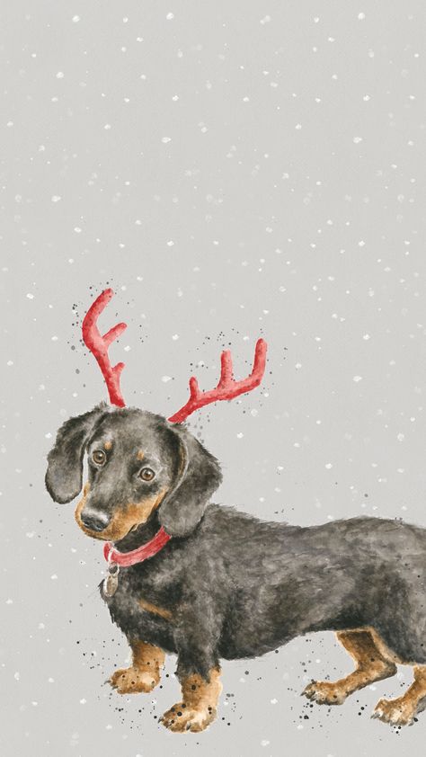 Dachshund Christmas Phone Wallpaper Daschund Wallpaper, High Quality Anime Wallpaper, Quality Anime Wallpaper, Dog Lockscreen, Dachshund Wallpaper, Arte Dachshund, Christmas Wallpaper Backgrounds, Xmas Wallpaper, Dachshund Art