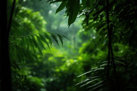 Fb Background, Desktop Background Nature, Save Wildlife, Plant Background, Desktop Wallpapers Backgrounds, High Resolution Wallpapers, Wallpaper Nature, Nature Tree, Wood Background