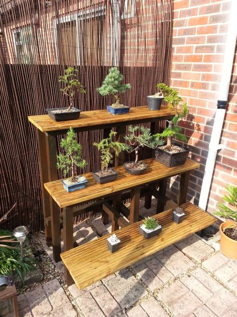 Show us your bench(s) - Page 2 Bonsai Bench, Potting Bench Ideas, Bonsai Display, Bonsai Tree Care, Build A Frame, Wicker Hamper, British Garden, Potting Bench, Bonsai Garden