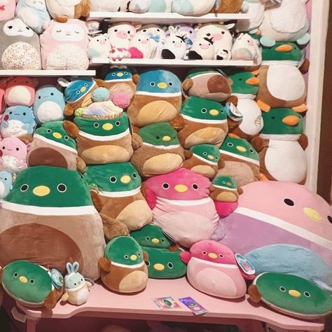 all of my duck squishmallow avery della lillibet daska Avery Squishmallow Aesthetic, Avery Squishmallow, Duck Squishmallow, Avery The Duck, Squishmallow Aesthetic, Cute Squishmallows, Squish Mellow, Figet Toys, Cute Squishies