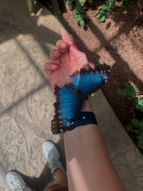 Summer Butterfly Aesthetic, Butterfly Girl Aesthetic, Butterfly Biosphere, Butterfly Cage, Lea Clark, Butterfly Pavilion, Hiking Photos, Adventure Girl, Butterfly Girl