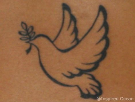 Peace Dove Tattoos, Olive Branch Tattoo, Dove Tattoo Design, Peace Tattoos, Dove Tattoos, Tattoo Bird, Small Bird Tattoo, Dove Tattoo, Small Rose Tattoo