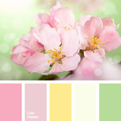 Spring colors inspiration. Flowers, sunny, warm and dreamy. Yellow Girls Room, In Color Balance, Wall Living Room, Spring Color Palette, Color Schemes Colour Palettes, Warm Palette, Pastel Colour Palette, Nursery Colors, Design Seeds