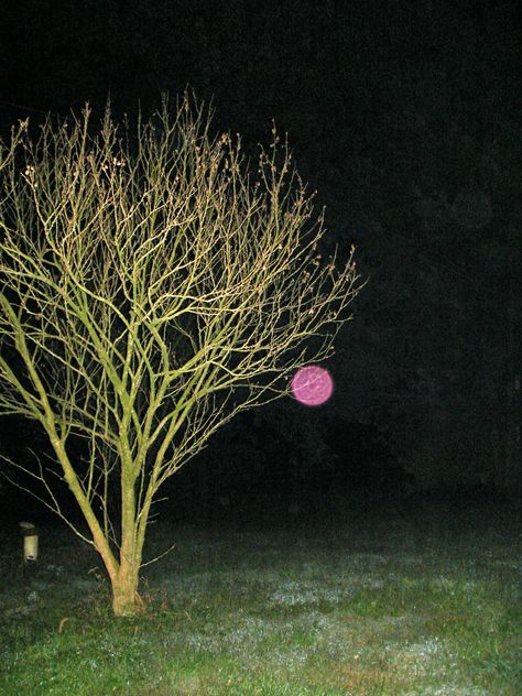 pink orb Orb Meaning, Orbs In Photos, Ghost Orbs, Angel Communication, Paranormal Aesthetic, Paranormal Pictures, Spirit Photography, Paranormal Photos, Spirit Magic