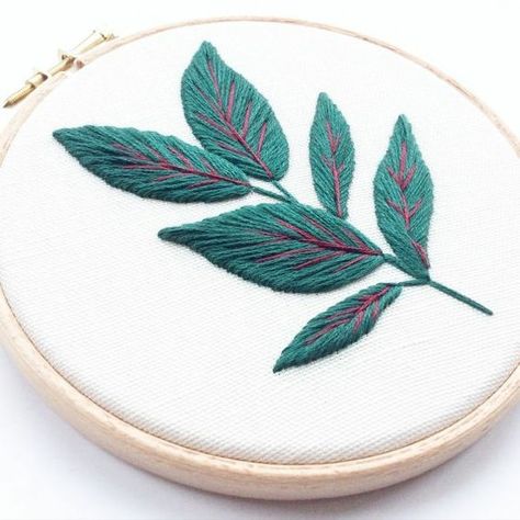 Eucalyptus Embroidery, Plant Embroidery, Rubber Plant, Hand Embroidery Flowers, Embroidery On Clothes, Cute Embroidery, Hand Embroidery Art, Hand Embroidery Stitches, Modern Embroidery