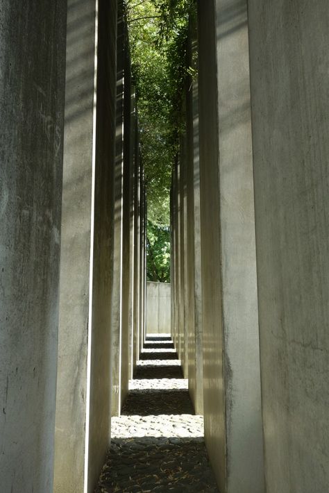 narrow path Narrow Path, Walkway, Open Space, Architects, Architecture, Art