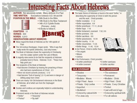 Interesting Facts about Hebrews Hebrews Bible Study Notes, Hebrews Bible Study, Biblical Timeline, Christian Logo, Bible Summary, Bible Charts, Bible Overview, Bible Study Materials, Inductive Bible Study