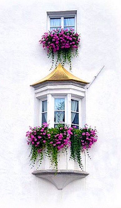 Boxes Ideas, Window Garden, Window Box Flowers, Balcony Flowers, Flower Window, Plant Box, Beautiful Windows, South Tyrol, Windows Exterior