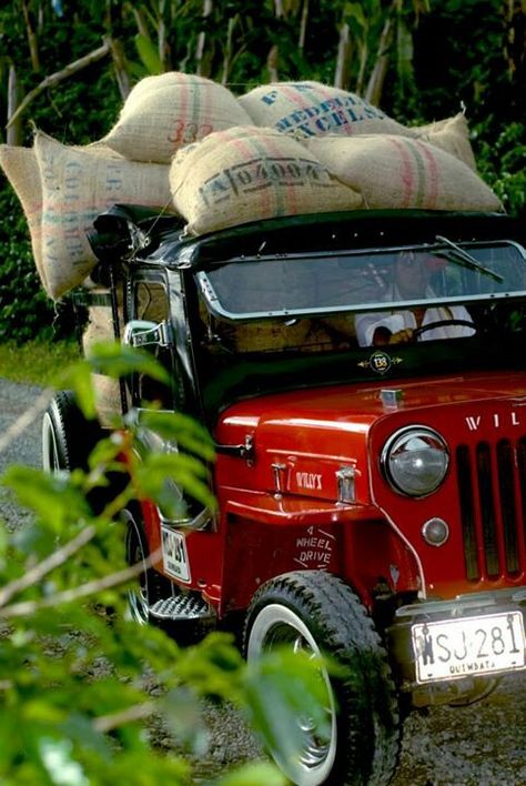 ¡¡¡¡WILLIS CARGANDO EL FRUTO DE NUESTRA TIERRA COLOMBIANA EL CAFÉ MAS SUAVE DE MUNDO!!!! Colombia Vacation, Colombian Culture, Colombian Art, International Coffee, Eagle Wallpaper, Colombian Coffee, Coffee Farm, Colombia Travel, Willys Jeep