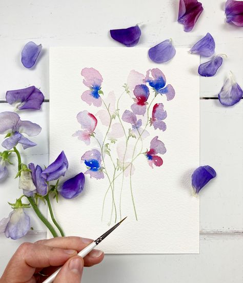 This is the easiest method to paint sweet peas - anyone can do it! Paint pink, purple and blue loose watercolour sweet peas now by clicking the link. #watercolour #sweetpeas #painting Sweet Peas Painting, Watercolour Sweet Pea, Sweet Pea Flowers Watercolor, Watercolor Sweet Peas, Sweet Pea Watercolor, Sweet Peas Flowers, 2024 Watercolor, Mom Calendar, Loose Watercolour