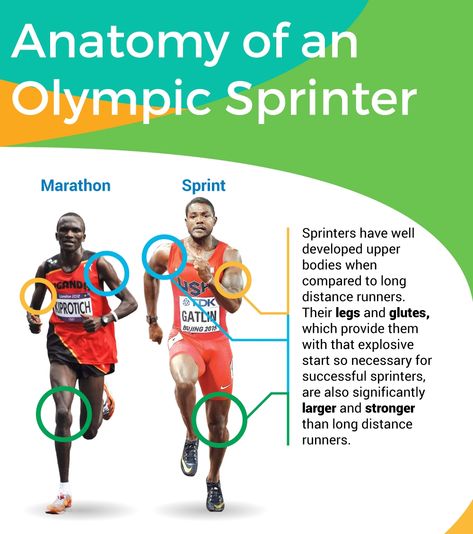 What makes a truly great Olympic sprinter and why their physiques are so different than long distance runners. Fitness Site, Long Distance Runner, Distance Runner, Rights And Responsibilities, University Of Utah, Sports Medicine, Team Usa, Long Distance, Upper Body