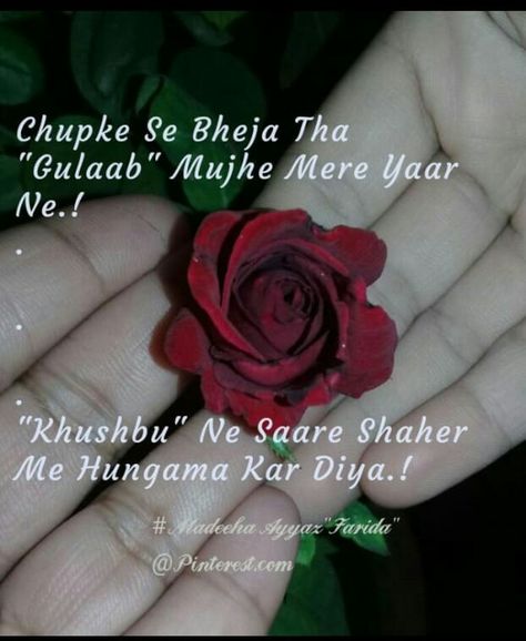 #_Madeeha Ayyaz"Farida" @_Bas_YuNh!! Shayri  on rose🌹 Flower Shayri In Hindi, Rose Shayri Hindi, Rose Shayari, Rose Poetry, Happy Valentines Day Quotes For Him, Love Sayri, Bookmarks Quotes, Valentines Day Quotes For Him, Happy Valentine Day Quotes