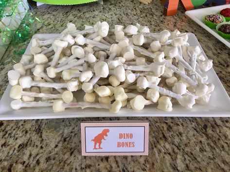 Dinosaur bones = marshmallows on the ends of pretzel sticks, dipped in white chocolate. Dino Themed Treats, Dinosaur Appetizers, Marshmallow Dinosaur, Pretzel Bones, Pretzel Sticks Dipped, Science Party Food, Dinosaur Themed Food, Dinosaur Science, Dinosaur Birthday Party Food