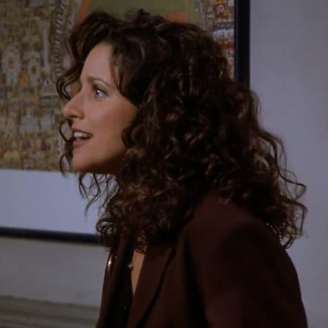 Elaine Benes, Julia Louis Dreyfus, Seinfeld, Hair Reference, Dream Hair, Messy Hairstyles, Perm, Hair Highlights, Fall Hair