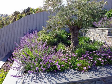 Mediterranean Terrace Garden - Jo gardens Mediterranean Raised Beds, Mediterranean Raised Garden Bed, Mediterranean Home Garden, Meditarian Garden Ideas, Mediterranean Flower Garden, Garden Design Mediterranean, Mediterranean Garden Ideas Uk, Meditteranean Garden Ideas, Mediterranean Flower Beds