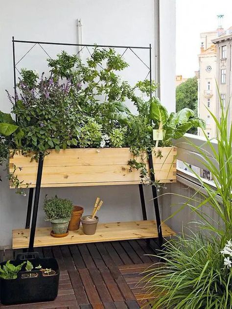 13 Raised Bed Ideas for Balcony Gardeners | Balcony Garden Web Balcony Planter Boxes, Landscape Gardening, Balcony Planters, Balcony Plants, Vertical Gardens, Have Inspiration, Garden Pictures, Raised Bed, Planter Box