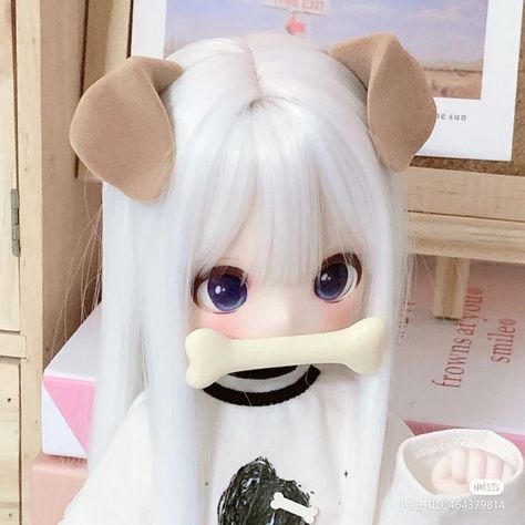 Puppycore Pfps, Puppycore Icons, Mini Dollfie Dream, Doll Pfp, Anime Puppy, Doll Plushies, Doll Aesthetic, Fantasy Art Dolls, Kawaii Doll