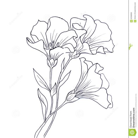 Illustration about Line ink drawing of flower with butterfly. Black contour on white background. Illustration of floral, flora, environment - 62588984 Line Ink Drawing, Black Contour, Easy Flower Drawings, Pencil Drawings Of Flowers, Flower Line Drawings, Flower Stock, Flower Art Drawing, Flower Sketches, Floral Drawing