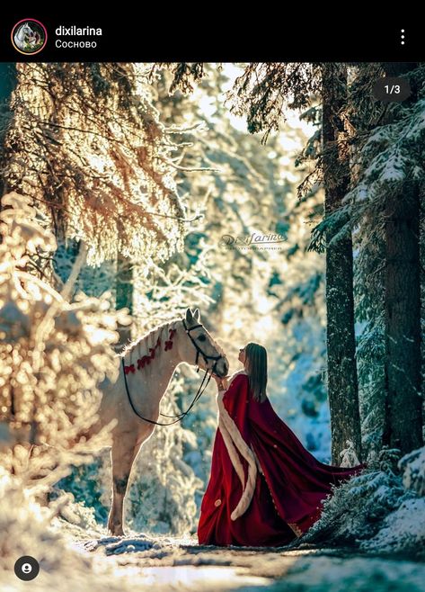 Christmas Horse Photoshoot, Winter Senior Pictures, Horse Photoshoot Ideas, Horse Shoot, Unicorn Photo, Horse Photography Poses, Pictures With Horses, Horse Photoshoot, Winter Horse