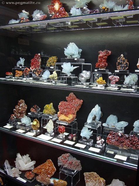 Mineral Museum Display, Rock And Mineral Display, Rock Shop Displays, Fossil Collection Display, Mineral Collection Display, Rock Collection Storage, Rock Collection Display, Gemstone Display, Rock Display