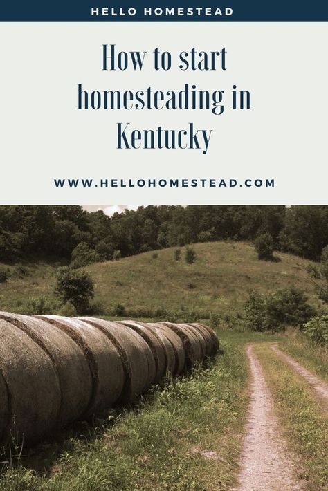 Because of its climate, soil and the availability of livestock auctions and groups, Kentucky is a great place to grow crops and raise animals. #kentucky #homestead #crops #livestock #land #farming Gardening In Kentucky, Kentucky Gardening, Kentucky Homestead, Homestead Books, Homestead Style, Kentucky Travel, Permaculture Design, Food Forest, Permaculture