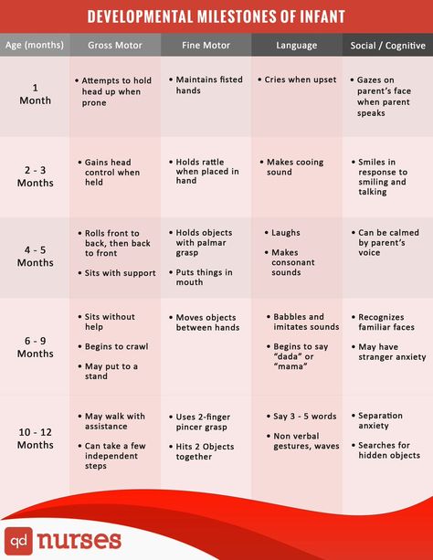 Developmental Milestones of an Infant #nurses #nursing #nclex #chart #meme #pharmacology #nursingschool Developmental Milestones Toddlers, Developmental Milestones Chart, Infant Development, Medical Assisting, Milestone Chart, Newborn Tips, Infant Care, Toddler Milestones, Pediatric Care