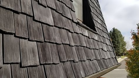 Here is what you need to know about wind resistant roofing and choosing the best roofing material for high wind climates. Cedar Roof Shingles, Vinyl Cedar Shake Siding, Shake Roofing, Shaker Siding, Metal Shingle Roof, Cedar Shake Shingles, Cedar Shake Siding, Siding Repair, Cedar Shake Roof