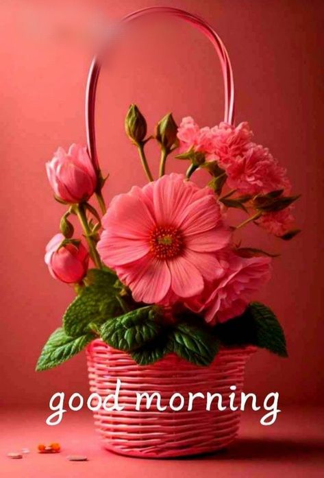 Good Morning Ideas, Morning Ideas, Good Morning Rose Images, Happy Good Morning Images, Good Morning Dear Friend, Special Good Morning, Quotes Morning, Good Evening Greetings, Good Morning Flowers Rose