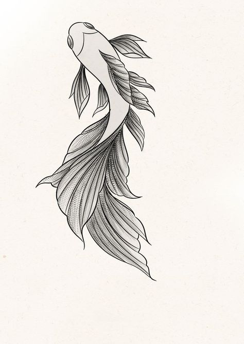 2 Coi Fish Tattoo Design, Beta Fish Line Art, Beta Fish Sketch, Betta Fish Tattoo Design, Fighter Fish Tattoo, Beta Fish Tattoo Design, Koi Fish Tattoo Stencil, Koi Fish Outline, Betta Fish Drawing