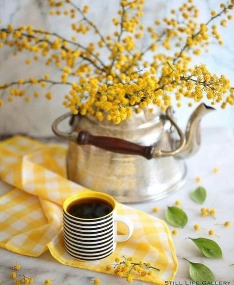 Morning Coffee Photography, Breakfast Photography, Yellow Cottage, Coffee Breakfast, Coffee Photography, Chocolate Tea, Good Morning Coffee, Coffee Is Life, A Cup Of Coffee