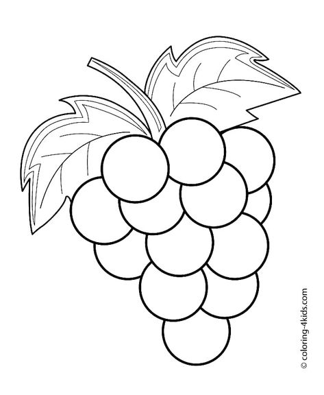 Printable Fruits, Grape Drawing, Vegetables Pictures, فنسنت فان جوخ, Vegetable Coloring Pages, Vegetable Pictures, Fruit Coloring Pages, Easy Cartoon Drawings, Flower Art Drawing