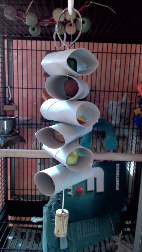 Diy Parakeet Toys, Bird Enrichment, Diy Rat Toys, Diy Bunny Toys, Bunny Care Tips, Homemade Bird Toys, Diy Parrot Toys, Budgies Parrot, Handmade Bird Toys