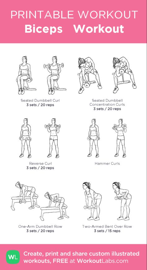 Dumbbell Bicep Workout, Beginners Gym Workout Plan, Upper Body Workout Gym, Workout Arms, Workout Labs, Workout Gym Routine, Printable Workout, Gym Workout Plan For Women, Hammer Curls