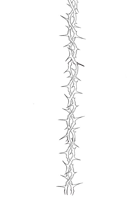 Rose With Thorns Spine Tattoo, Forearm Thorn Tattoo, Barbed Wire Spine Tattoo, Thorn Wrist Tattoo, Thorn Spine Tattoo, Wrap Around Arm Tattoos For Men, Thorn Tattoo Design, Vine Tattoo Men, Thorn Drawing