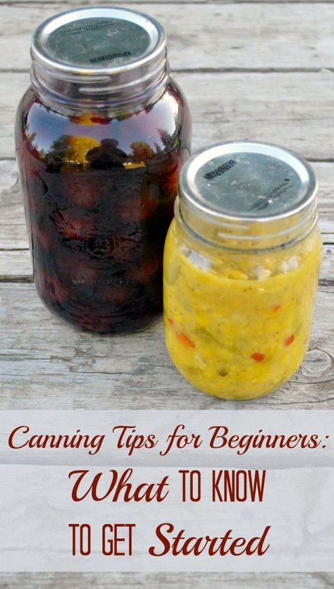 Canning Tips for Beginners: What to Know Before you Get Started. One homesteader tells you everything you need to know to get preserving. Baking Tips For Beginners, Cooking Scallops, Cooking For A Group, Canning Vegetables, Canning Food Preservation, Canned Food Storage, Canning Tips, Cooking Advice, Cooking For Beginners