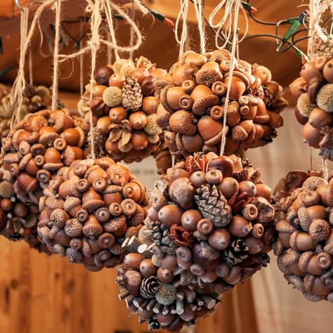 8 Things You Can Make With All of Those Acorns Simple Fall Crafts, Homemade Photo Frames, Acorn Decorations, Outside Fall Decor, Acorn Crafts, Easy Fall Crafts, Cones Crafts, Pine Cone Crafts, Autumn Crafts