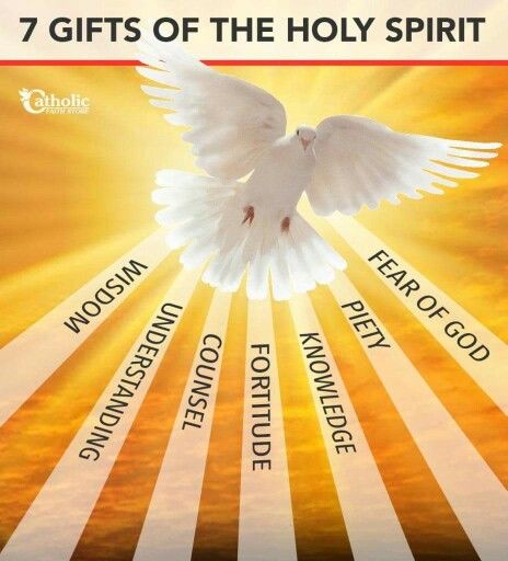 7 Gifts of the Holy Spirit Holy Spirit Images, Confirmation Quotes, Holy Spirit Art, Gifts Of The Holy Spirit, Catholic Confirmation, Gifts Of The Spirit, Spirit Gifts, Spirit Quotes, Ayat Alkitab