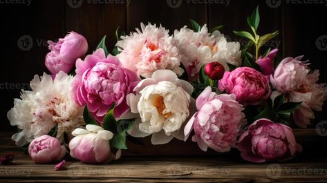 Peony wallpaper