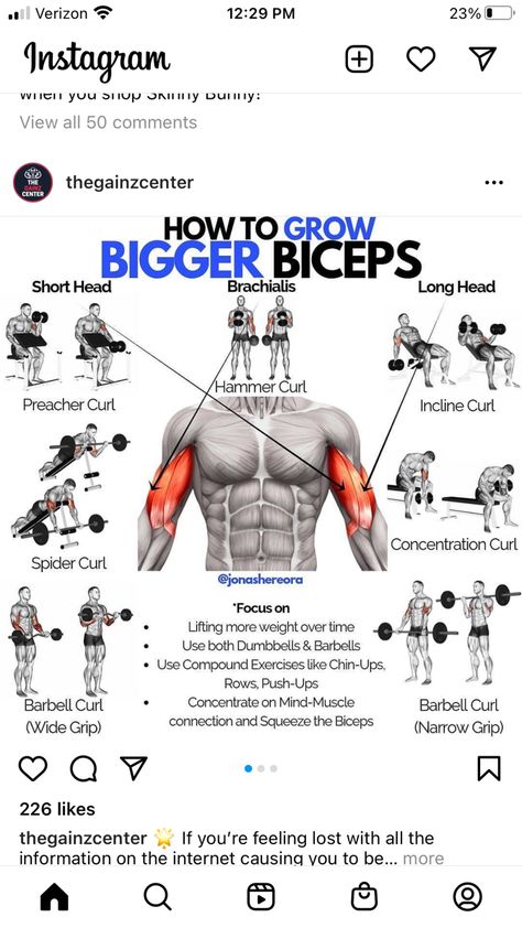 Biceps Workout Gym, Mens Bicep Workout, Tricep Workout Gym, Bicep Workout Gym, Big Biceps Workout, Workout Biceps, Gym Back, Back And Bicep Workout, Bigger Biceps