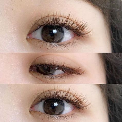 Natural Fake Eyelashes, Wispy Eyelashes, Lash Extensions Styles, Eyelash Extensions Styles, Perfect Eyelashes, Doll Eye Makeup, Natural Eyelash Extensions, Korean Eye Makeup, Eyelash Extentions