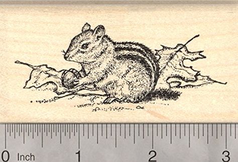 Chipmunk Rubber Stamp Gathering Acorns in Autumn Leaves Fall Harvest -- Read more reviews of the product by visiting the link on the image. Bird Rubber Stamps, Egypt Flag, Squirrel Art, Small Turtles, Leaves Fall, Knit Alpaca, Seal Stamps, Custom Stamps, Pet Loss