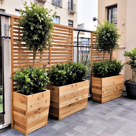 25 Balcony Privacy Ideas for Stylish and Secure Living Trellis Ideas For Privacy Balcony, Privacy Screen Balcony Apartment, Balcony Divider, Plant Divider, Balcony Privacy Ideas, Privacy Ideas, Balcony Privacy, Modern Coastal Home, Patio Privacy