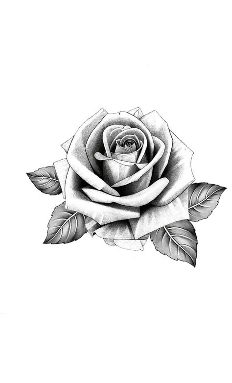 Dove And Rose Tattoo, Cool Animal Tattoos, Anklet Tattoos For Women, Money Rose Tattoo, Rose Tattoo Stencil, Hip Tattoo Designs, White Rose Tattoos, Realistic Rose Tattoo, Rose Flower Tattoos