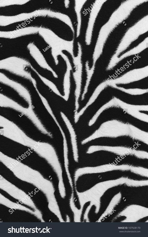 Background texture of zebra skin pattern #Ad , #ad, #texture#Background#zebra#pattern Zebra Skin Pattern, Animal Print Art, Zebra Skin, Latest Interior Design Trends, Print Photos, Pattern Images, Zebra Print, Royalty Free Photos, Animal Photography