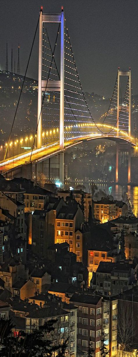 Bosphorus Bridge, Luxury Boat, Dinner Cruise, Boats Luxury, Night View, Turkey Travel, A Bridge, Istanbul Turkey, Places Around The World