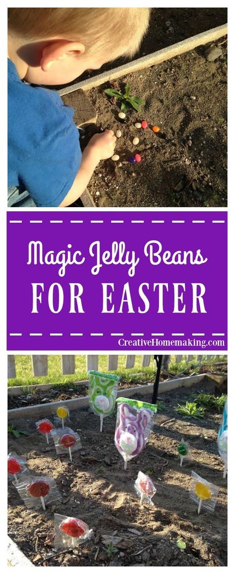 Bean Garden, Diy Jelly, Jelly Beans Easter, Easter Surprise, Easter Stuff, Celebration Ideas, Kids Projects, Jelly Bean, Easter Candy