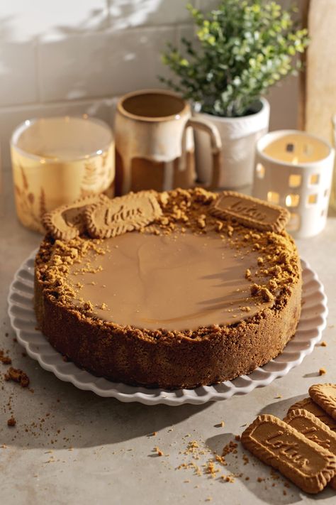 This biscoff cheesecake is made with a biscoff cookie crust, creamy spiced cheesecake, and a layer of biscoff spread on top. It's the ultimate cheesecake for biscoff lovers! #biscoff #cheesecake | teakandthyme.com Spiced Cheesecake, Easy Turkey Recipes Thanksgiving, Ultimate Cheesecake, Caramel Cheesecake Recipes, Biscoff Recipes, Biscoff Cheesecake, Cheesecake Toppings, Biscoff Spread, The Best Dessert